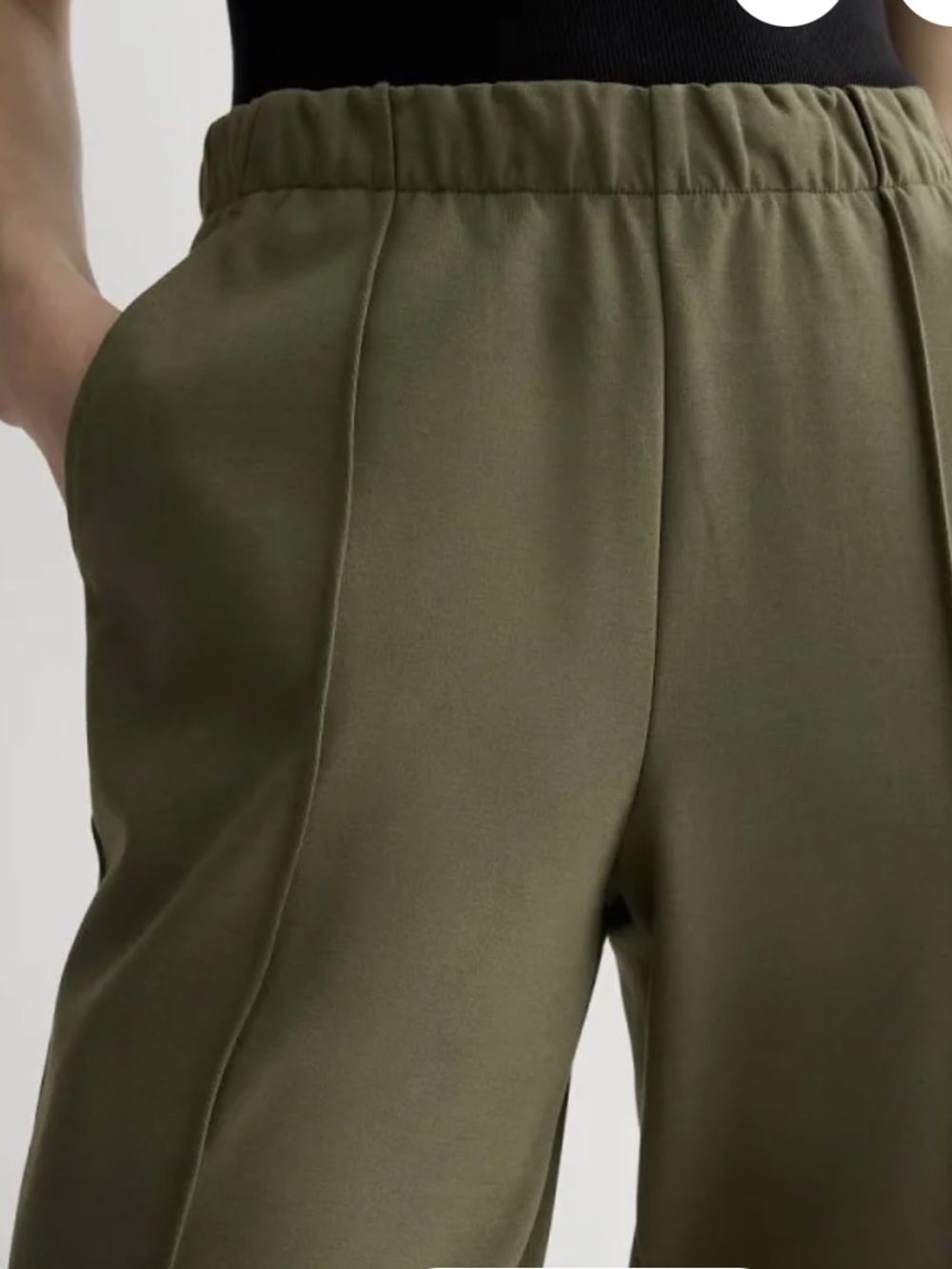 Everlane Olive Green Pleated Front Seam Dream Pants